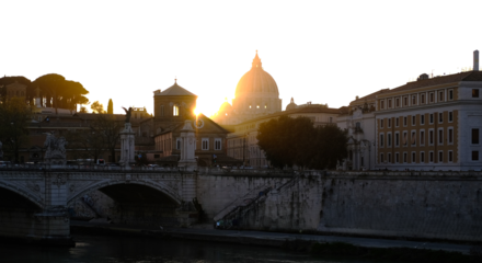 Fill 440x240 screenshot 2024 10 30 151629